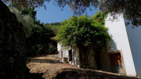 Quinta margem de rio Douro