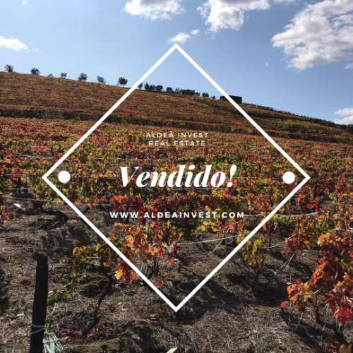 Quinta em Valença do Douro