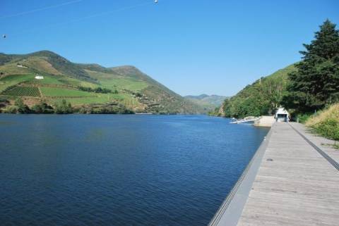 Quinta à barragem do Bagauste 12ha