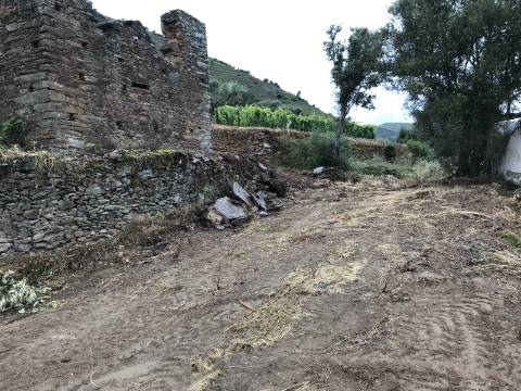 Ruínas com Potencial à Beira do Rio Douro