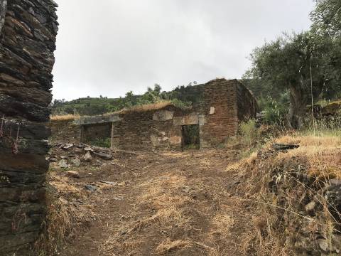 Ruínas com Potencial à Beira do Rio Douro