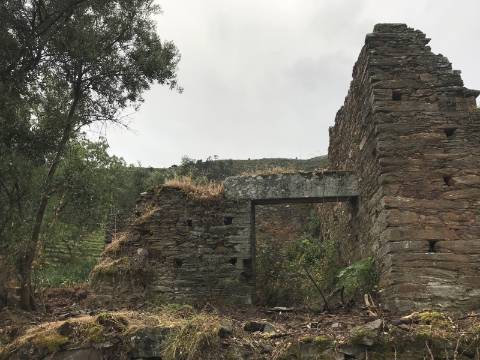 Ruínas com Potencial à Beira do Rio Douro
