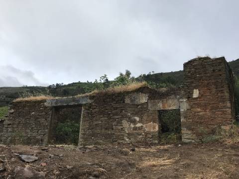 Ruínas com Potencial à Beira do Rio Douro