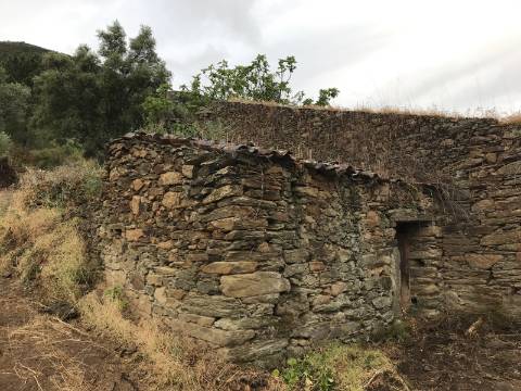 Ruínas com Potencial à Beira do Rio Douro