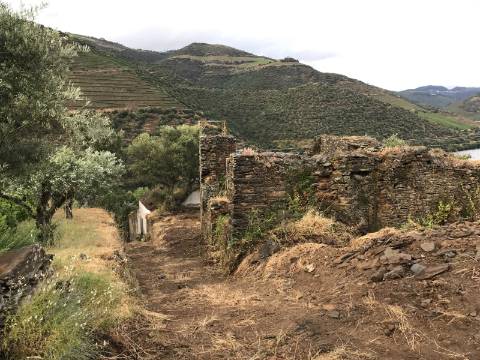 Ruínas com Potencial à Beira do Rio Douro