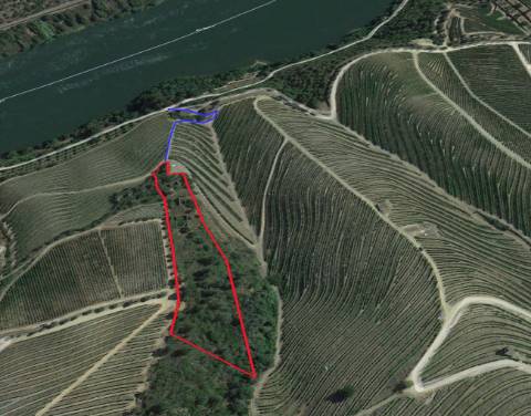 Ruínas com Potencial à Beira do Rio Douro