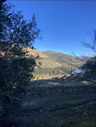 Ruínas com Vista Deslumbrante sobre o Rio Douro: Oportunidade Única para Segunda Habitação ou Alojamento Local