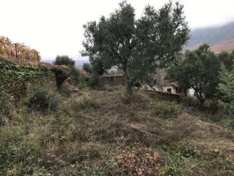 Ruínas com Vista Deslumbrante sobre o Rio Douro: Oportunidade Única para Segunda Habitação ou Alojamento Local