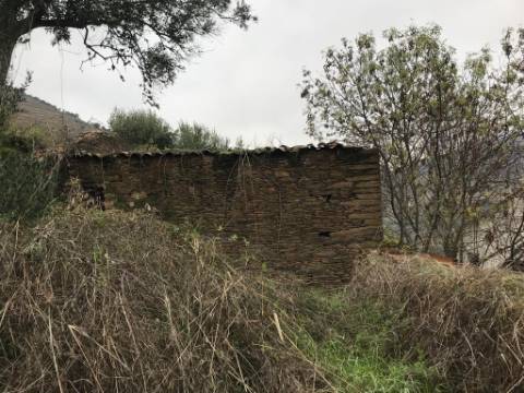 Ruínas com Vista Deslumbrante sobre o Rio Douro: Oportunidade Única para Segunda Habitação ou Alojamento Local