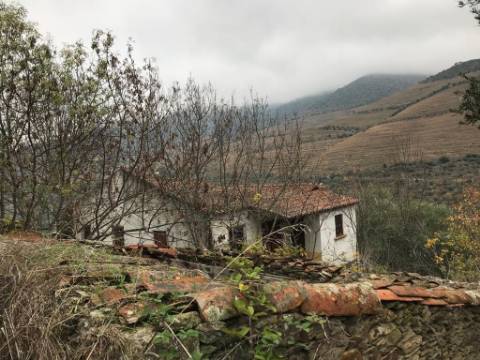 Ruínas com Vista Deslumbrante sobre o Rio Douro: Oportunidade Única para Segunda Habitação ou Alojamento Local