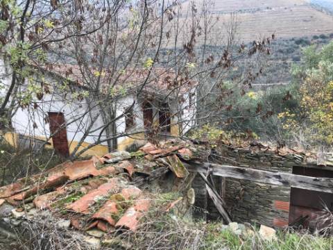 Ruínas com Vista Deslumbrante sobre o Rio Douro: Oportunidade Única para Segunda Habitação ou Alojamento Local