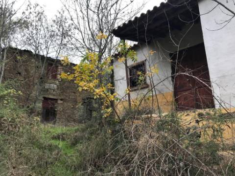 Ruínas com Vista Deslumbrante sobre o Rio Douro: Oportunidade Única para Segunda Habitação ou Alojamento Local