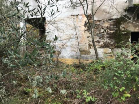 Ruínas com Vista Deslumbrante sobre o Rio Douro: Oportunidade Única para Segunda Habitação ou Alojamento Local