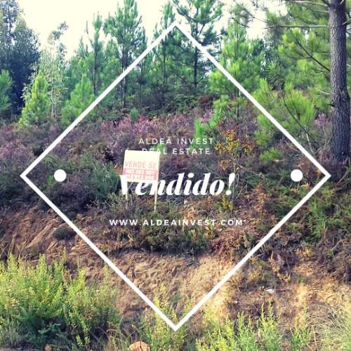 Terreno Industrial - Baltar