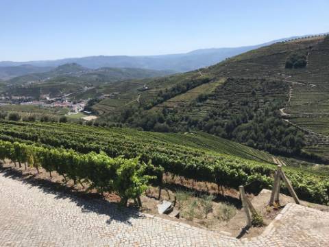 Quinta Sta Marta de Penaguião