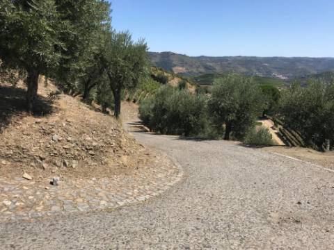 Quinta Sta Marta de Penaguião