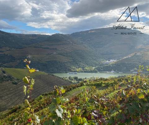 Apaixonante Quinta Douro Vinhateiro 13ha