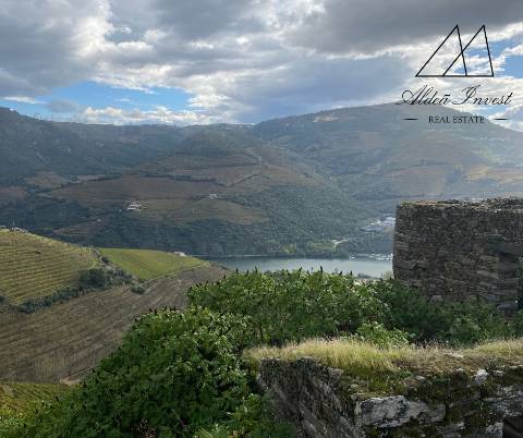 Apaixonante Quinta Douro Vinhateiro 13ha