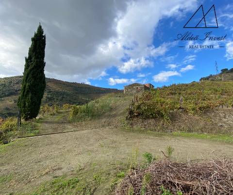 Apaixonante Quinta Douro Vinhateiro 13ha