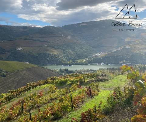 Apaixonante Quinta Douro Vinhateiro 13ha