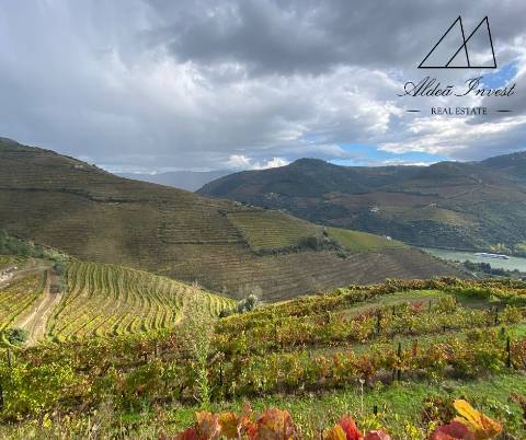 Apaixonante Quinta Douro Vinhateiro 13ha