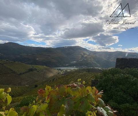 Apaixonante Quinta Douro Vinhateiro 13ha