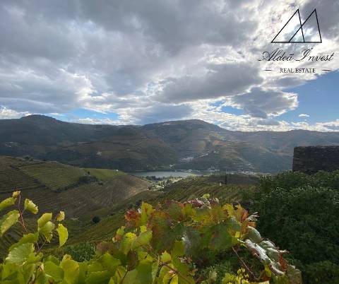 Apaixonante Quinta Douro Vinhateiro 13ha