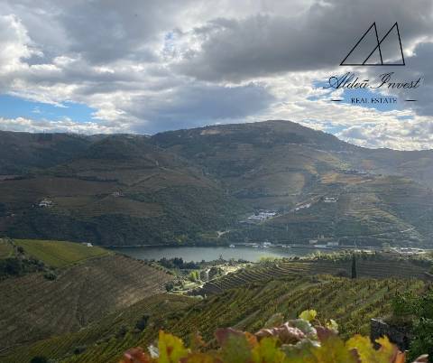 Apaixonante Quinta Douro Vinhateiro 13ha