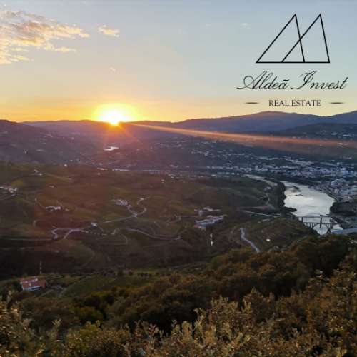 Quintinha Douro Vinhateiro