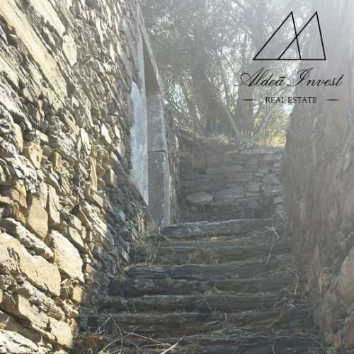 Quintinha Douro Vinhateiro