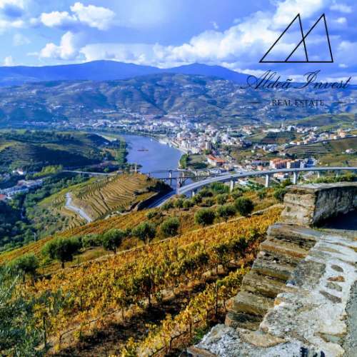 Quintinha Douro Vinhateiro