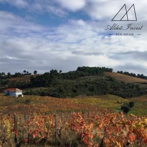 Quinta Douto Vinhateiro 6ha