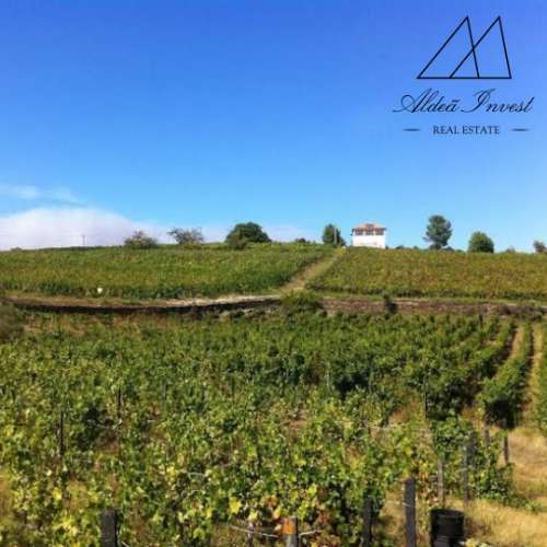 Quinta Douto Vinhateiro 6ha