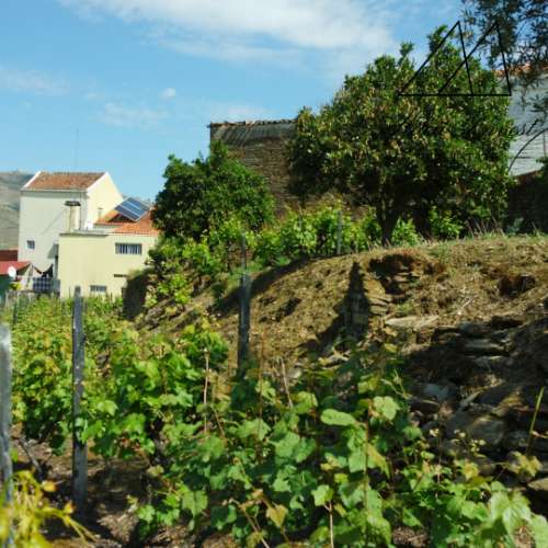 Quintinha Douro Vnhateiro