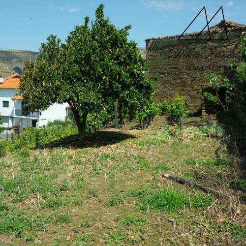 Quintinha Douro Vnhateiro