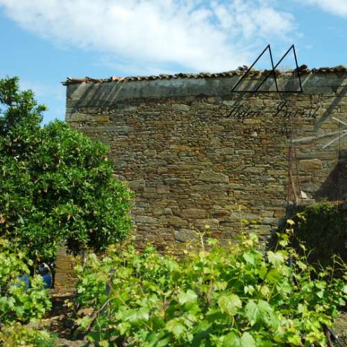 Quintinha Douro Vnhateiro