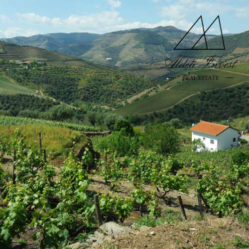 Quintinha Douro Vnhateiro