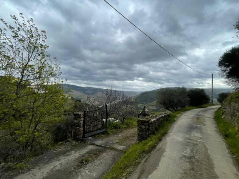 Quinta 10ha Douro Vinhateiro