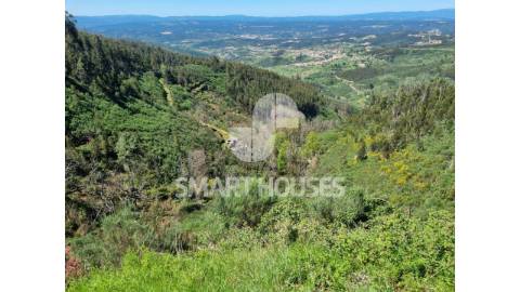 Terreno com cerca de 3 hectares (área de terreno...