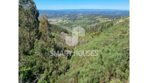 Terreno com cerca de 3 hectares (área de terreno...