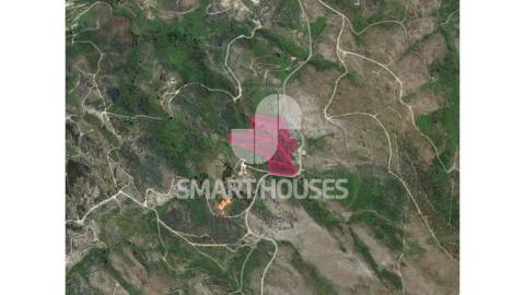Terreno com cerca de 3 hectares (área de terreno...