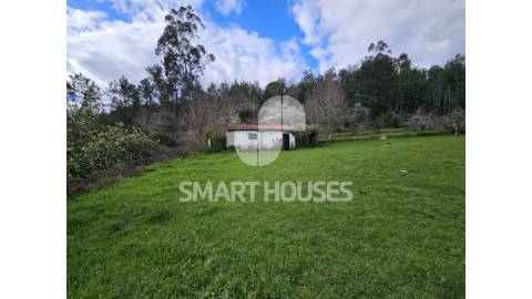 Terreno com 1462m2 junto a aldeia de Vale...