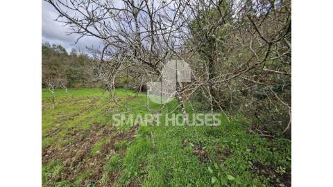 Terreno com 1462m2 junto a aldeia de Vale...