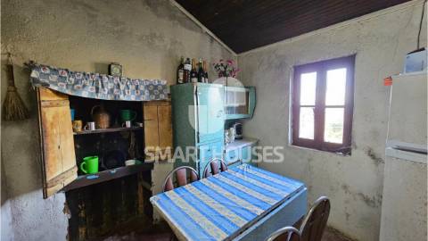 Moradia T3 na aldeia de Picadouro (Arganil) com...