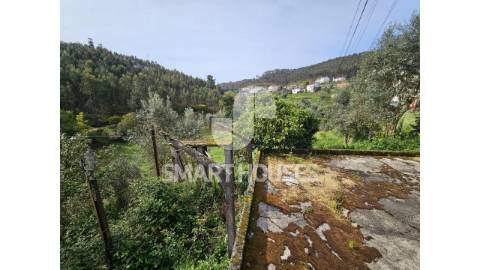 Moradia T3 em Vale do Tronco (Penacova) com...