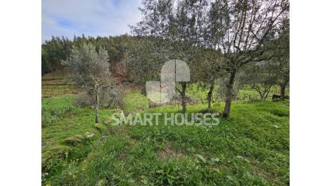 Moradia T3 em Vale do Tronco (Penacova) com...