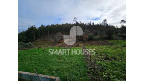 Moradia T3 em Vale do Tronco (Penacova) com...