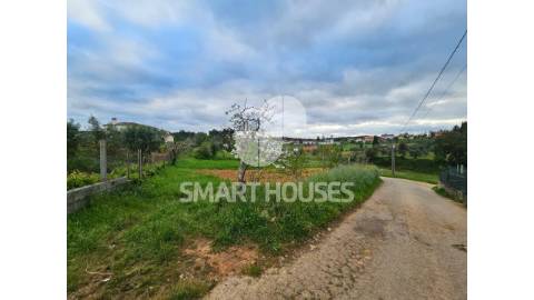 Terreno para construção nas Fronhas (S. Martinho...