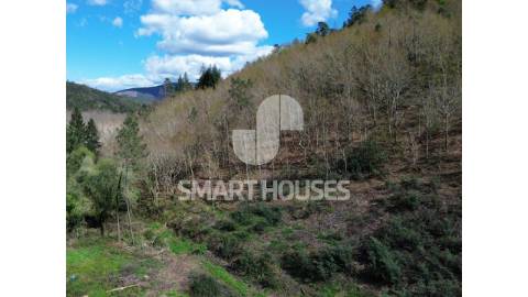 Moradia em ruínas para recuperar, junto ao rio,...