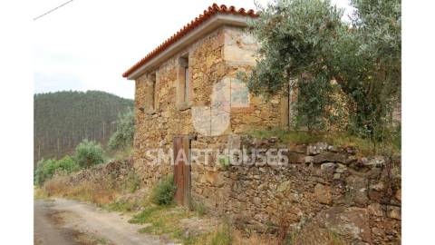 Moradia em ruínas para recuperar, com olival de...